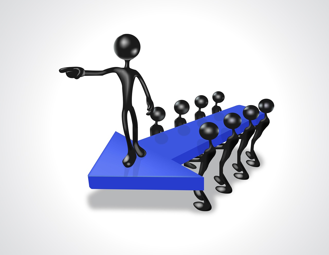expert leader concepttechsol